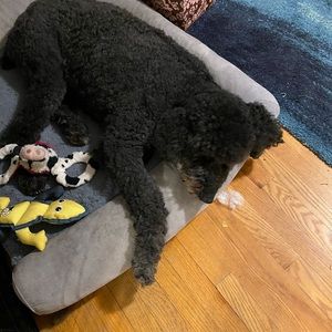 Meet your Posher, Donna